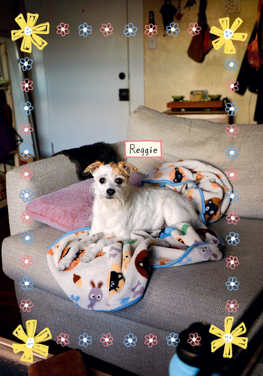 Reggie, a small white and tan scruffy dog, lying on a blanket on a gray couch, framed by hand-drawn flowers
